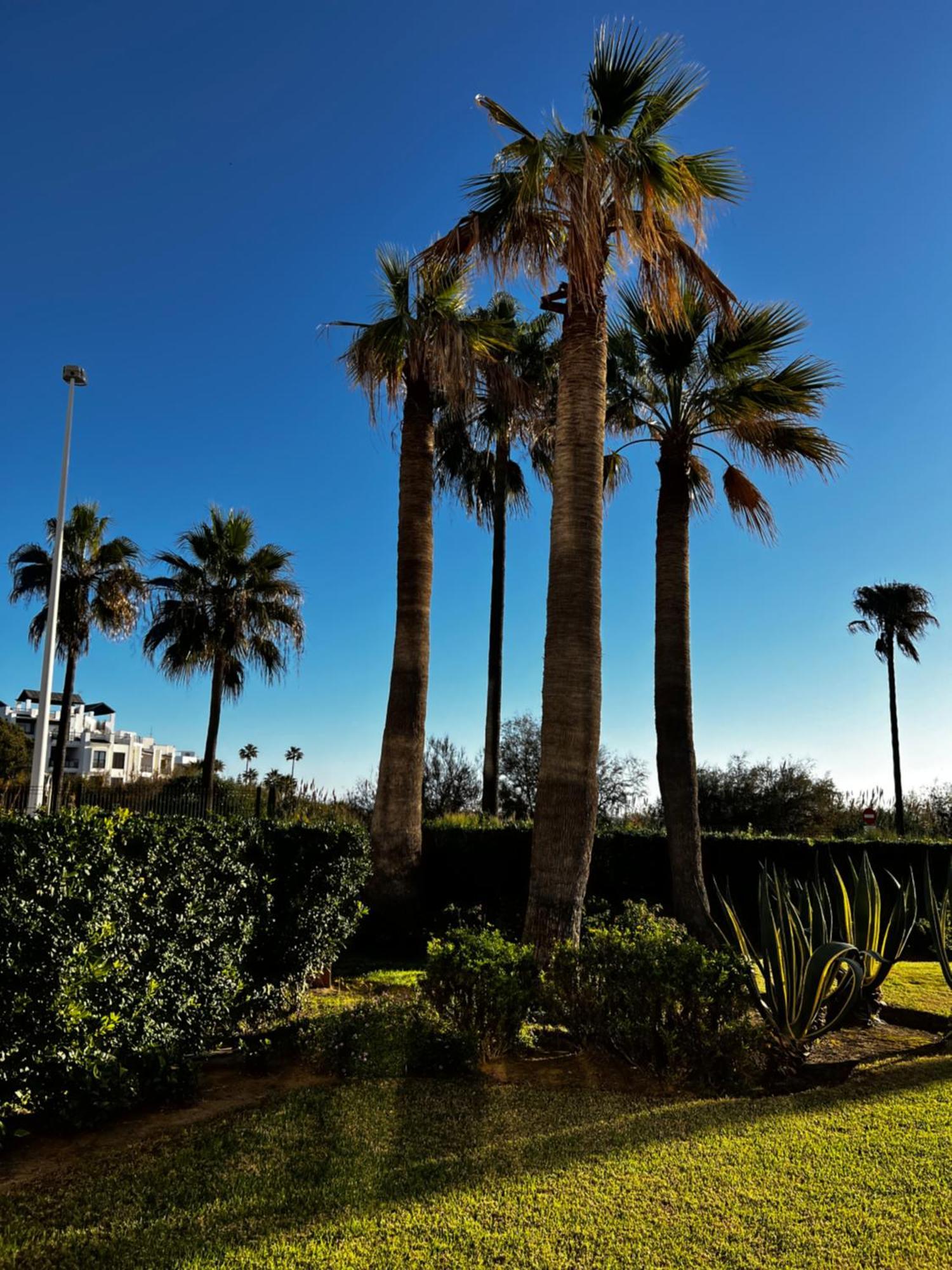 Appartamento By The La Perla De La Bahia, Casares Costa Bahia de Casares